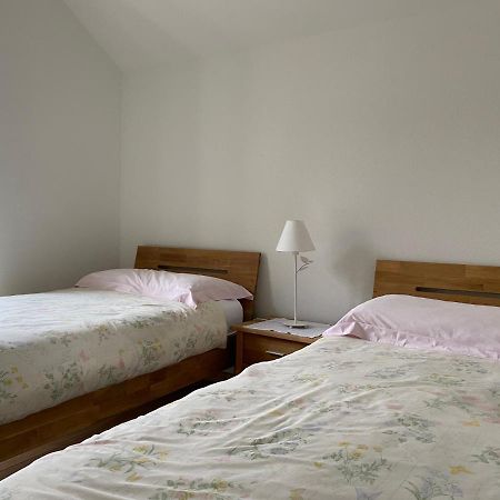 Rustico San Giorgio: Losone Exterior foto